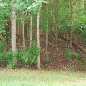 Photo #1 of 4029 Rookwood, Winston-Salem, NC 0.7 acres