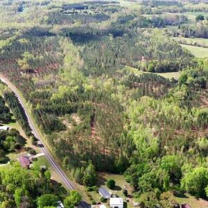 Photo #30 of 01 Dibrell, Pelham, NC 80.0 acres