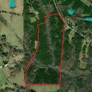 Photo #40 of 01 Dibrell, Pelham, NC 80.0 acres