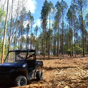 Photo #25 of 01 Dibrell, Pelham, NC 80.0 acres