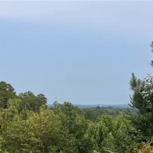 Photo #2 of Cedar Forest, Franklinville, NC 16.2 acres