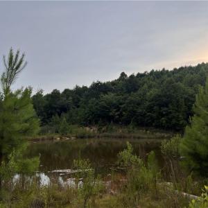 Photo #1 of Cedar Forest, Franklinville, NC 16.2 acres