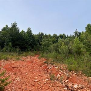 Photo #4 of Cedar Forest, Franklinville, NC 16.2 acres