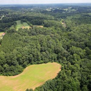 Photo #7 of Ralph Craver, Lexington, NC 20.2 acres