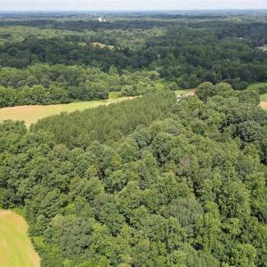 Photo #3 of Ralph Craver, Lexington, NC 20.2 acres