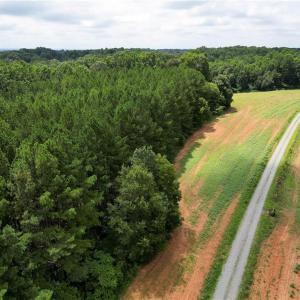 Photo #5 of Ralph Craver, Lexington, NC 20.2 acres