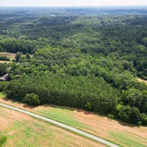 Photo #4 of Ralph Craver, Lexington, NC 20.2 acres