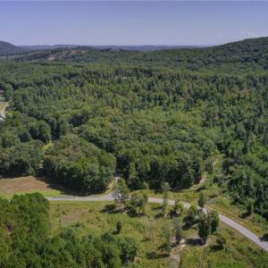 View of Harborgate, clubhouse and lot from over Highh Rock Lake