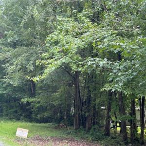 Photo #3 of 5501 Eulis, Liberty, NC 10.9 acres