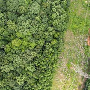 Photo #6 of 5530 Jason, Greensboro, NC 9.0 acres