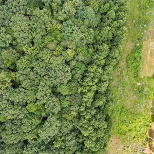 Photo #7 of 5530 Jason, Greensboro, NC 9.0 acres
