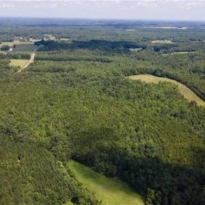 Photo #3 of Rascoe, Burlington, NC 140.0 acres