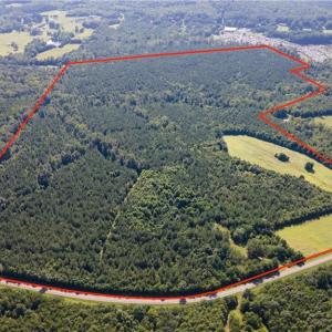 Photo #1 of Rascoe, Burlington, NC 140.0 acres