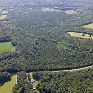 Photo #20 of Rascoe, Burlington, NC 140.0 acres