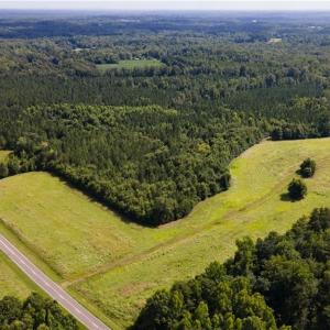 Photo #10 of Rascoe, Burlington, NC 140.0 acres