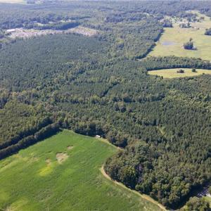 Photo #18 of Rascoe, Burlington, NC 140.0 acres