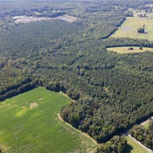 Photo #19 of Rascoe, Burlington, NC 140.0 acres