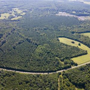 Photo #21 of Rascoe, Burlington, NC 140.0 acres
