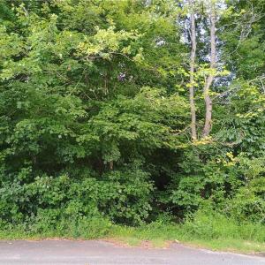 Photo #1 of 2300 Rothwood Acres, Greensboro, NC 0.8 acres