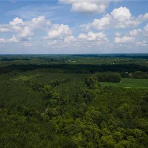 Photo #13 of Rascoe, Burlington, NC 161.9 acres