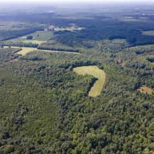 Photo #14 of Rascoe, Burlington, NC 161.9 acres