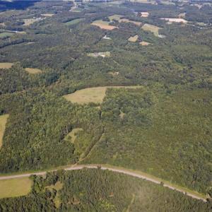 Photo #31 of Rascoe, Burlington, NC 161.9 acres
