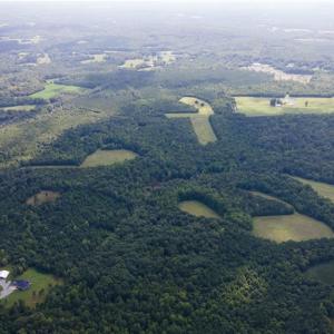 Photo #23 of Rascoe, Burlington, NC 161.9 acres