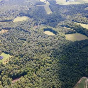 Photo #27 of Rascoe, Burlington, NC 161.9 acres
