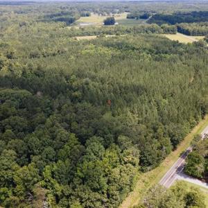 Photo #6 of Rascoe, Burlington, NC 161.9 acres