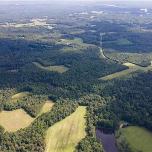 Photo #17 of Rascoe, Burlington, NC 161.9 acres