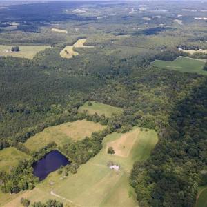 Photo #12 of Rascoe, Burlington, NC 161.9 acres
