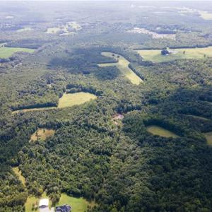 Photo #26 of Rascoe, Burlington, NC 161.9 acres
