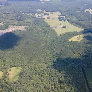 Photo #3 of Rascoe, Burlington, NC 161.9 acres