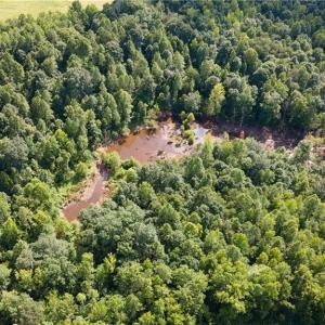 Photo #28 of Rascoe, Burlington, NC 161.9 acres