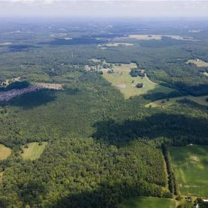Photo #5 of Rascoe, Burlington, NC 161.9 acres