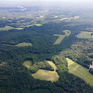 Photo #20 of Rascoe, Burlington, NC 161.9 acres