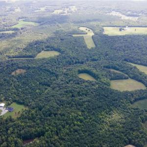Photo #24 of Rascoe, Burlington, NC 161.9 acres