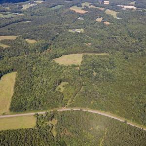 Photo #30 of Rascoe, Burlington, NC 161.9 acres