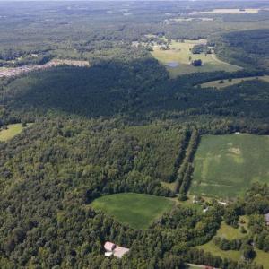 Photo #10 of Rascoe, Burlington, NC 161.9 acres