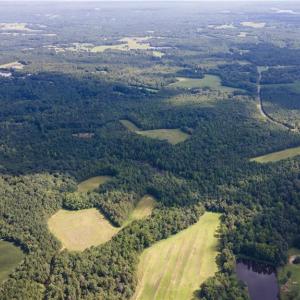 Photo #18 of Rascoe, Burlington, NC 161.9 acres