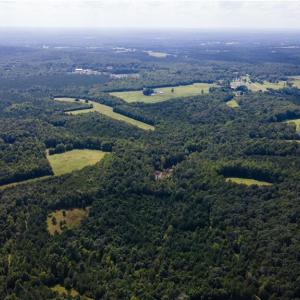 Photo #15 of Rascoe, Burlington, NC 161.9 acres