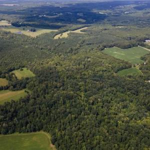 Photo #11 of Rascoe, Burlington, NC 161.9 acres