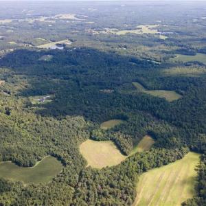 Photo #19 of Rascoe, Burlington, NC 161.9 acres