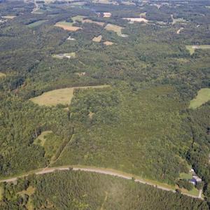 Photo #35 of Rascoe, Burlington, NC 161.9 acres