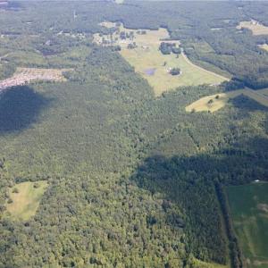 Photo #4 of Rascoe, Burlington, NC 161.9 acres