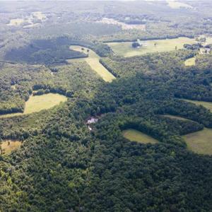 Photo #25 of Rascoe, Burlington, NC 161.9 acres