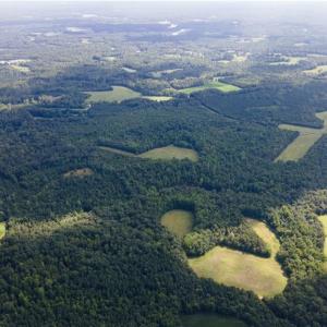 Photo #21 of Rascoe, Burlington, NC 161.9 acres