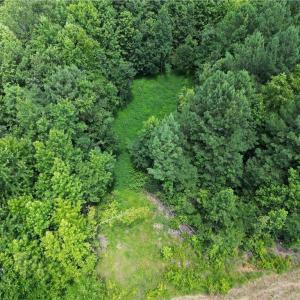 Photo #2 of Rock Quarry, Pelham, NC 29.0 acres