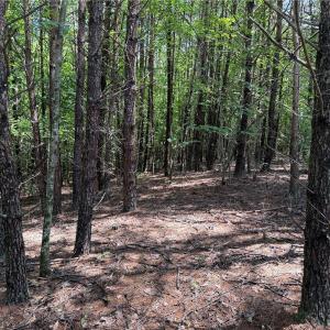 Photo #16 of Rock Quarry, Pelham, NC 29.0 acres