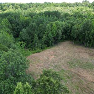 Photo #12 of Rock Quarry, Pelham, NC 29.0 acres